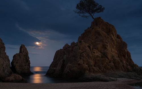 树岩石月光海滩夜晚高清壁纸1920x1080分辨率查看