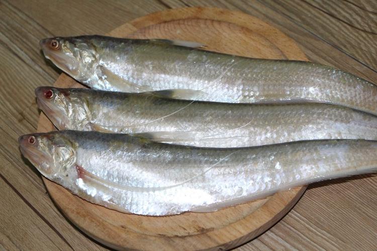 外江野生刀鱼 每条一两五以上 - 江水类 - 原味生活