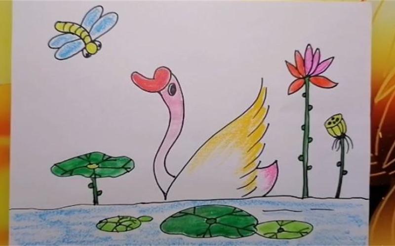 洁白的天鹅在水面自由自的游着儿童画