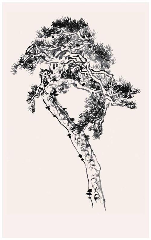 零基础中国画入门教程:松树的十大基本画法,简单易学,快学习!