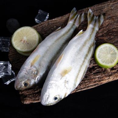 九鱼鲜踪 鲜嫩茂公鱼2斤装 海南海鲜 南海深海捕捞 无抗生素海鲜 富含
