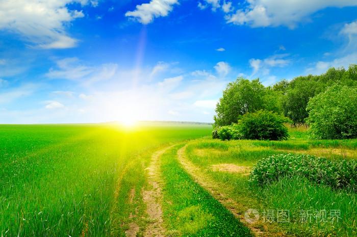 绿色的田野和太阳在蔚蓝的天空