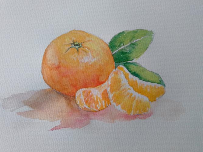 零基础画水彩之水果系列---橘子画法