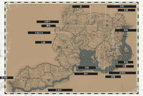 《荒野大镖客2》收集地图全汇总 有哪些收集要素?