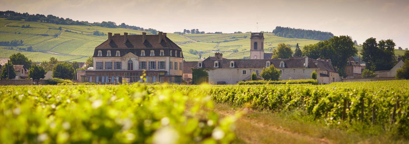 法国最值得参观的16大酒庄
