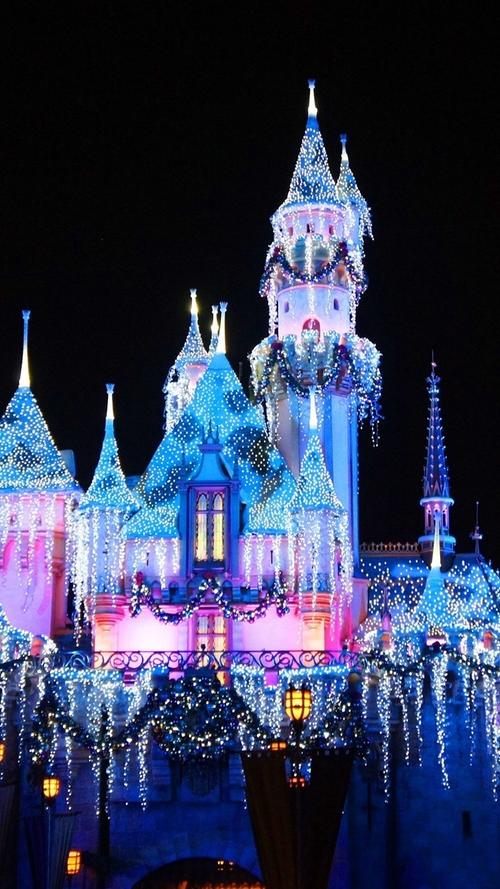 迪士尼乐园,美丽的城堡,五颜六色的灯光,夜晚 iphone 壁纸