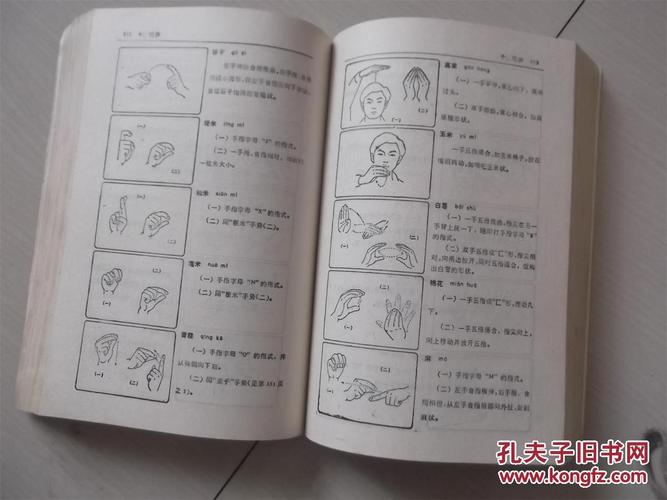 中国手语 1990年一版一印,巨厚_中国聋哑人协会编_孔夫子旧书网