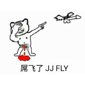 屌飞了jj fly - 斗图表情包 - 斗图神器 - adoutu.com