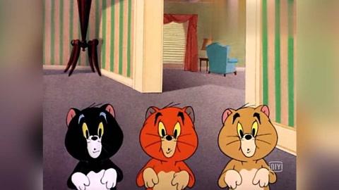 [少儿]猫和老鼠:杰瑞和汤姆合作,这下三只小猫要被整惨咯!