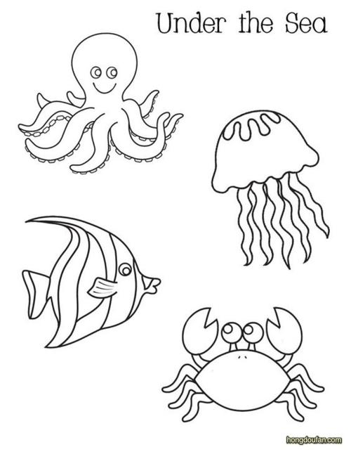 underthesea海底世界的章鱼水母螃蟹和小鱼简笔画大全