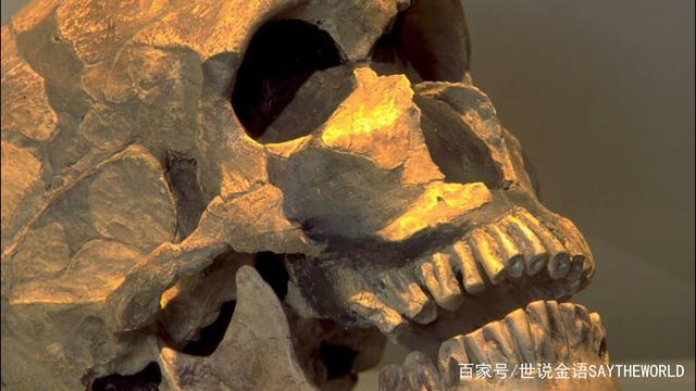 这个尼安德特人的头盖骨和下颚骨,与一个被埋儿童的骨架,发现于法国