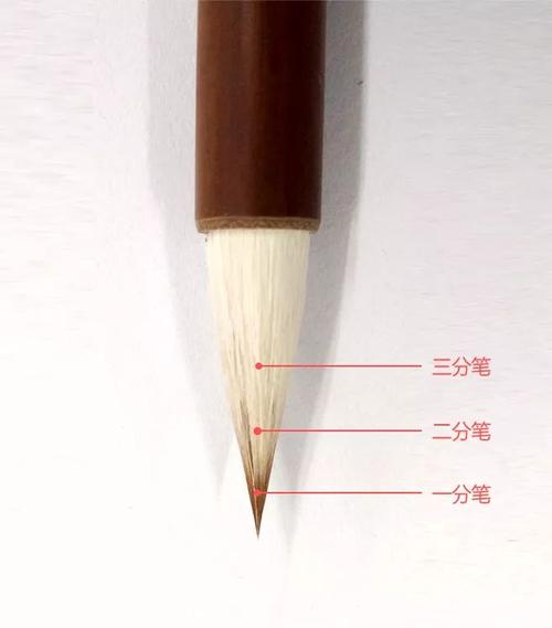 五分钟让您了解毛笔的结构丨三联文房毛笔课堂(第二讲)_笔头