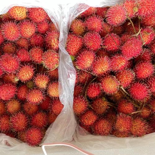 红毛丹 新鲜水果 毛荔枝热带 鲜果现摘荔枝 坏果包赔-阿里巴巴