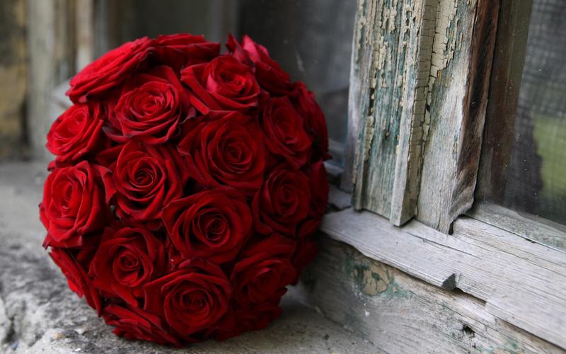 美丽的红玫瑰鲜花照片壁纸800x600分辨率查看