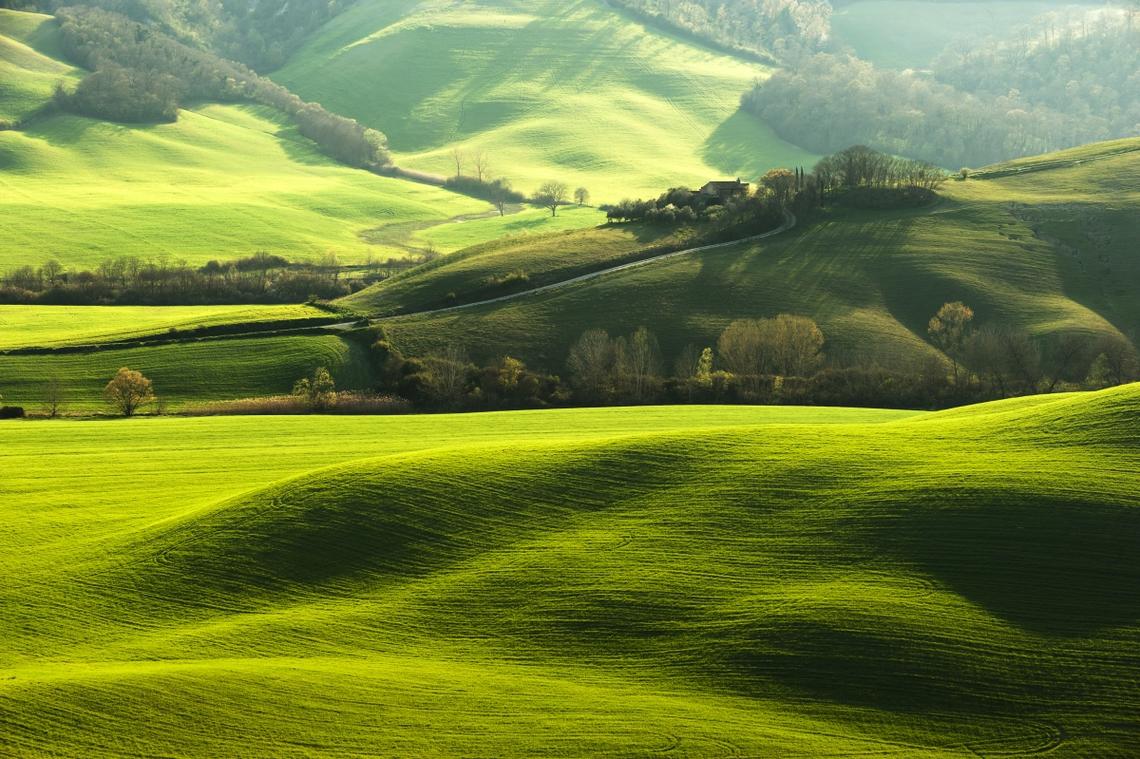 农场 意大利 托斯卡纳区 绿色领域 草地 爬坡道 田园 树 风景 路 4k壁
