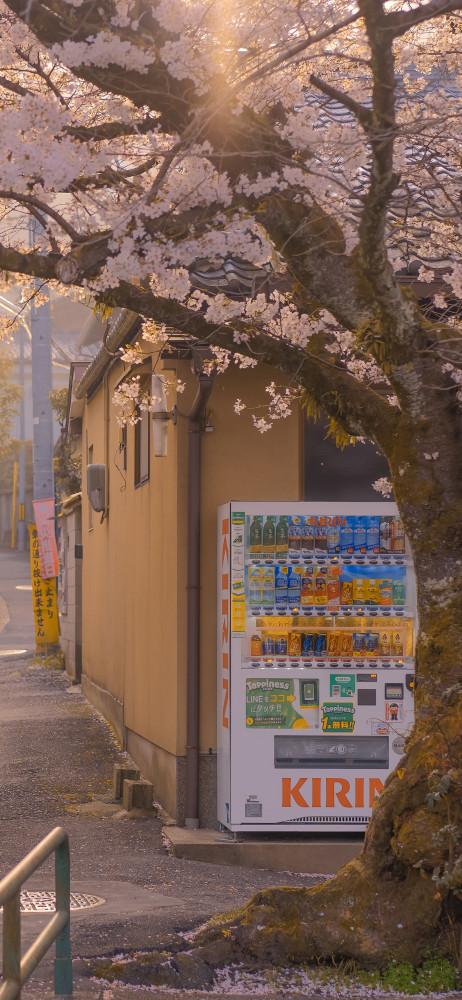 手机桌面壁纸日本街景