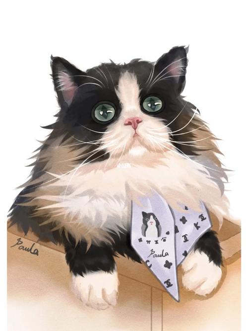 procreate绘画水彩风宠物猫咪2