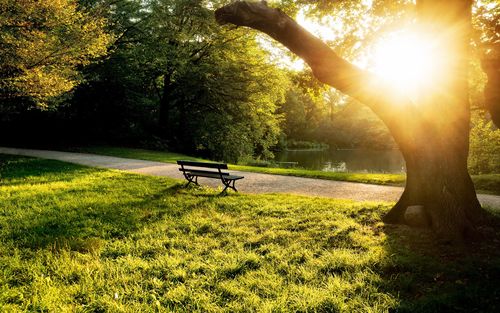 夏季早晨公园长椅,树木,草,阳光 壁纸 - 1920x1200