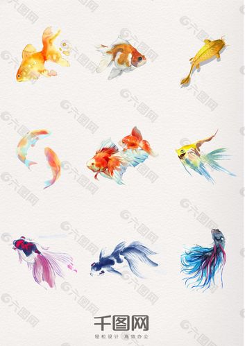 一组水彩动物金鱼设计素材