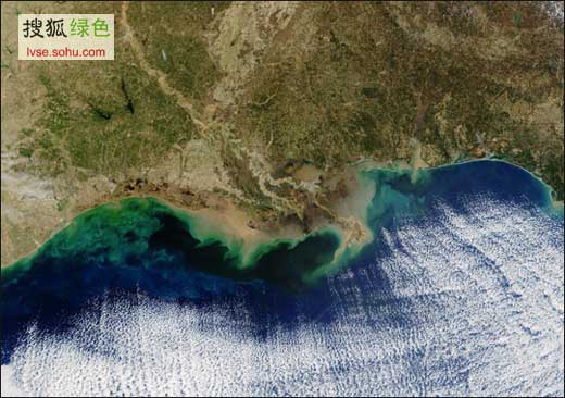 墨西哥湾"死亡地带"扩展 海洋生物再受威胁