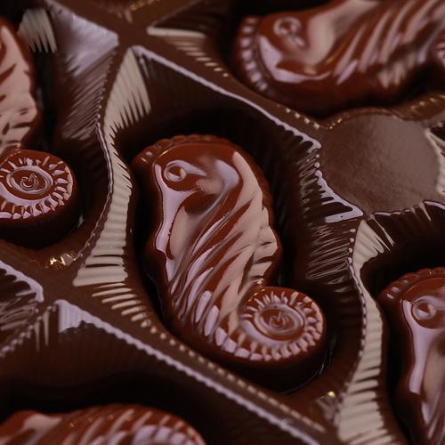 比利时原装吉利海马榛子夹心心黑巧克力guylian礼盒黑巧克力