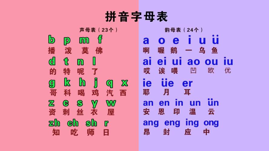 零基础汉语拼音字母表-韵母声母,整体认读音节,初学者能快速学