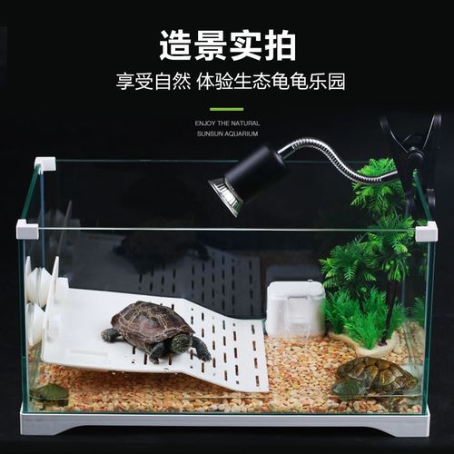 乌龟缸大型鱼龟混养生态缸客厅小型家用玻璃缸带晒台养龟箱周转箱