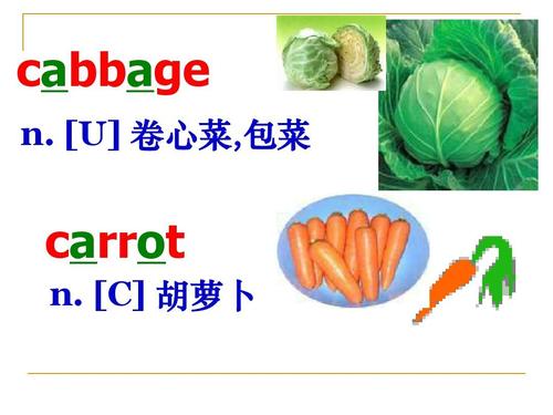 u[]卷心菜, 菜包 acrot rn.[c]  萝卜胡