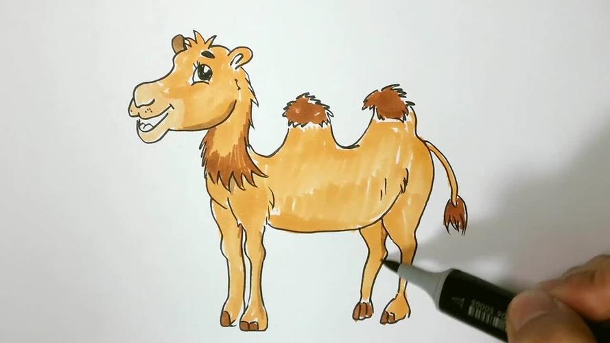 如何画一只积极乐观的沙漠骆驼卡通简笔画教程