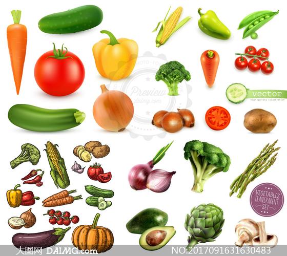番茄辣椒与土豆洋葱等蔬菜矢量素材