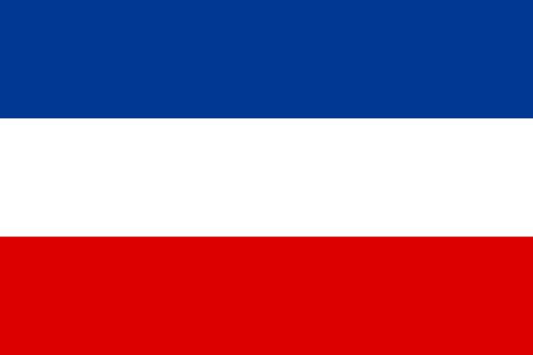 俄罗斯国旗_俄罗斯国旗图片_俄罗斯国旗和中国国旗