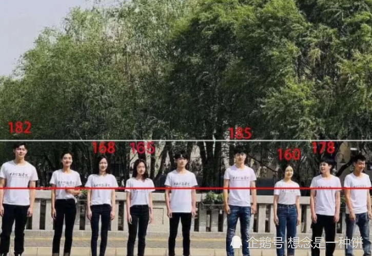 根据相关统计,女孩子对象中的身高在173~178中间是最合适的.