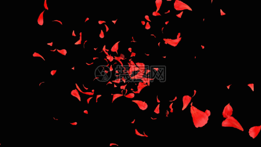 三维花瓣背景gif图片素材