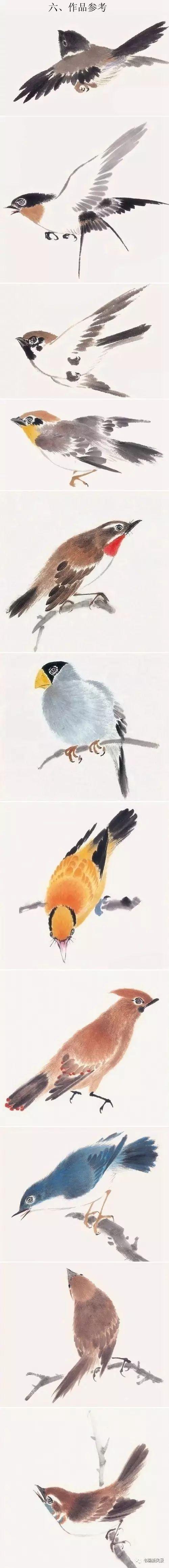 看看鸟各种姿态的画法
