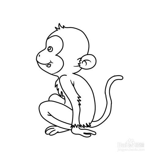 一只可爱的小猴子的简笔画