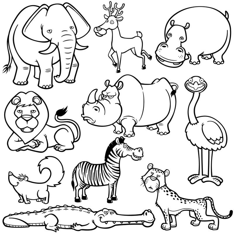 野生动物卡通,野生动物卡通-着色书矢量图