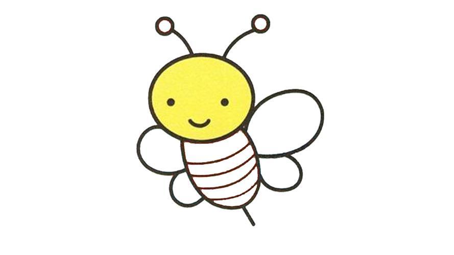 蜜蜂简笔画彩色卡通版 简笔画图片大全-蒲城教育文学网