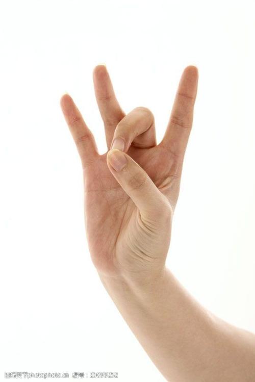 手语手势图片