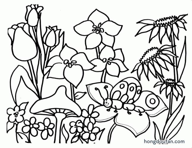 春天的花园儿童涂色图片a4可打印空白图片-红豆饭小学生简笔画大全