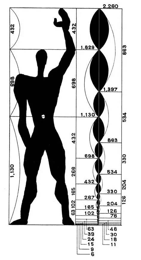勒·柯布西耶的modulor系统人体(男人)今天,关于人体黄金分割的观念