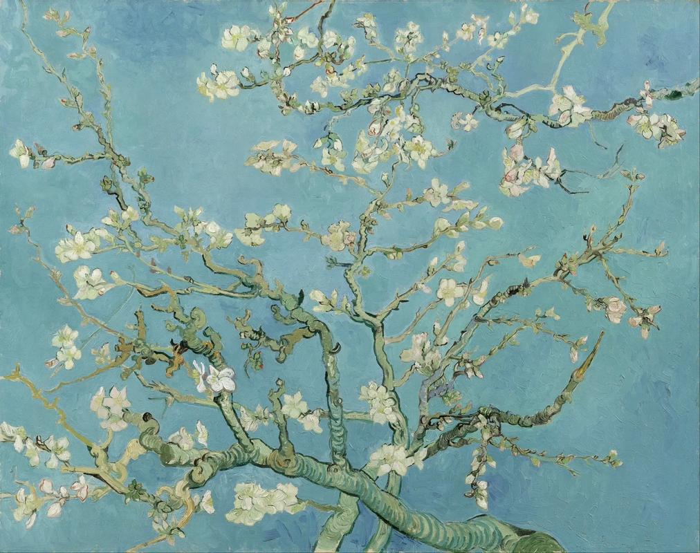 《杏花盛开》像这样在蓝天下盛开的大树枝是梵高最喜欢的主题之一