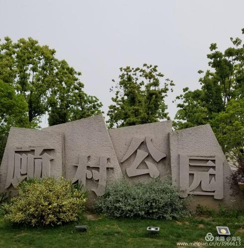 顾村公园——上海最大的郊野公园 - 美篇