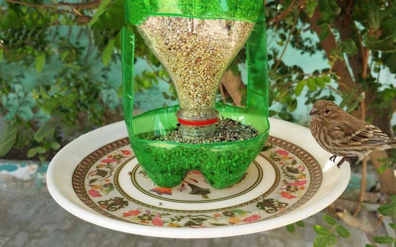 教你用塑料瓶手工制作鸟儿喂食器,放在阳台吸引野生鸟儿吧