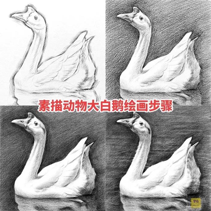 素描动物绘画大白鹅手绘步骤
