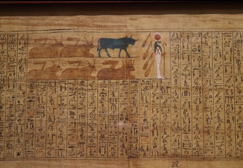 古埃及象形文字,书写在纸莎草纸上的文字.