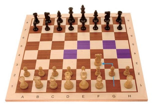 国际象棋的棋盘由64个黑白相间的格子组成,白格放右下角.