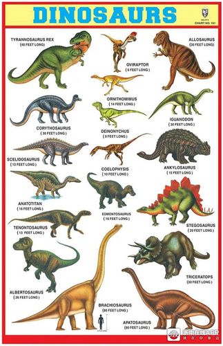 【在家学英语】长颈鹿美语每天在家学一点:allaboutdinosaur!恐龙知识