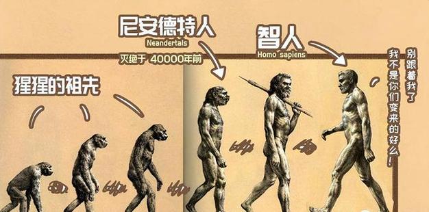 深度长文人类是猿进化来的为什么再也没有别的猿进化成人类