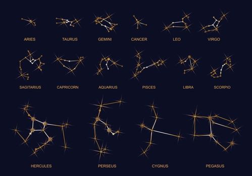 矢量十二星座图标设计