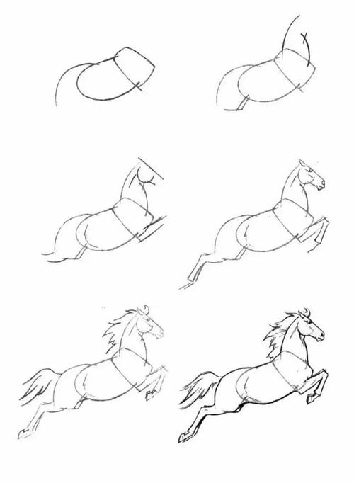 马的简笔画(简笔画教程,50个马的画法!